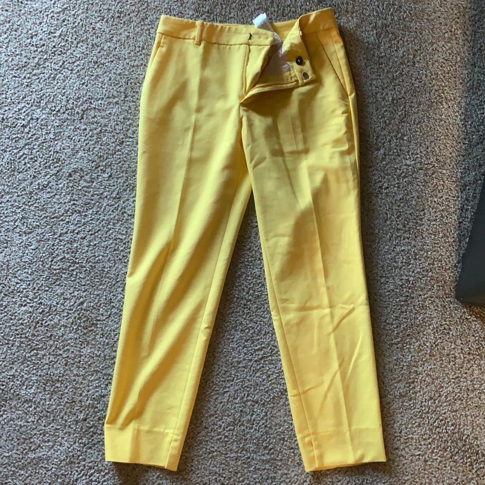 Zara Capri Dress Pants